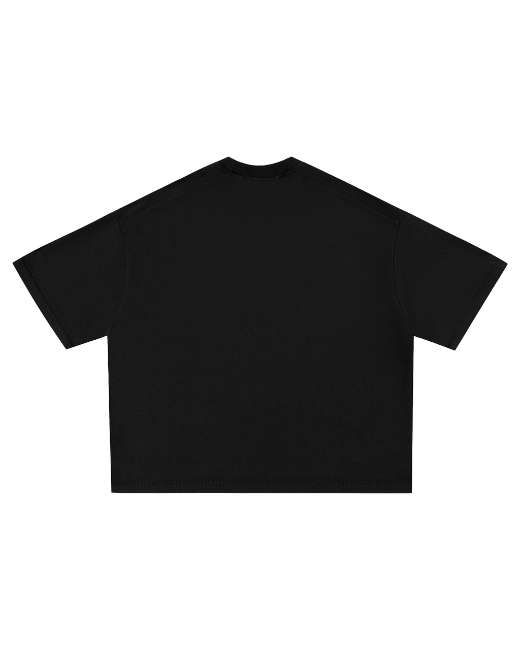 Camiseta Oversize Boxy Fit